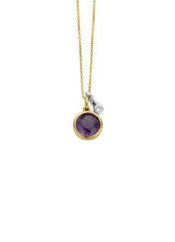 Birthstones gouden hanger met collier Februari