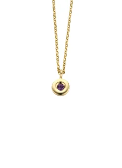 Birthstones gouden hanger met collier Februari