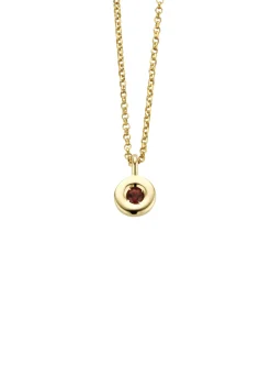 Birthstones gouden hanger met kleursteen Januari