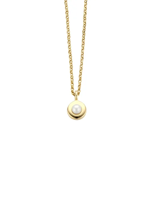 Birthstones gouden hanger met collier Juni