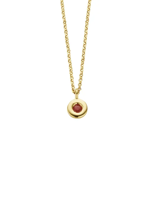 Birthstones gouden hanger met collier Juli