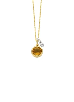 Birthstones gouden hanger met collier November