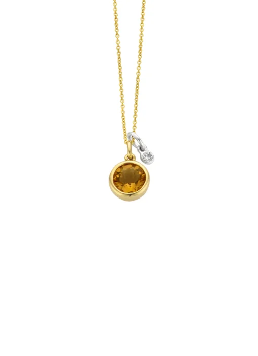 Birthstones gouden hanger met collier November