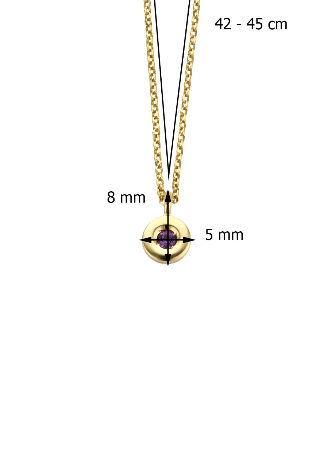 Birthstones gouden hanger met collier Februari