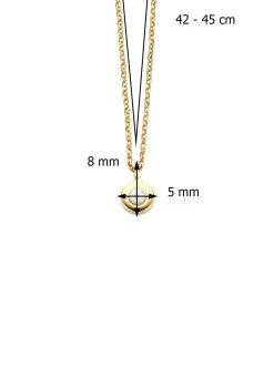 Birthstones gouden hanger met collier Juni