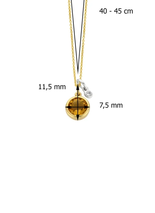 Birthstones gouden hanger met collier November