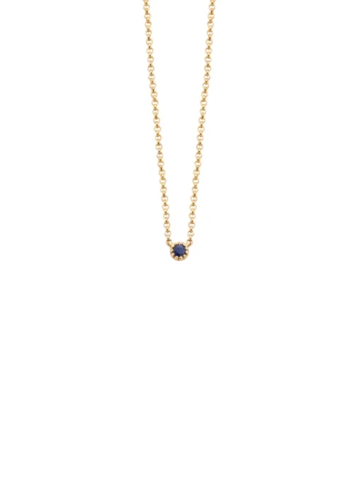 Geelgouden collier, 0.05 ct blauwe saffier, Joy