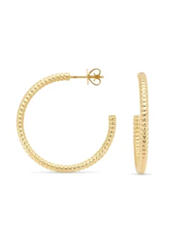Geelgouden massieve oorsieraden Timeless Treasures