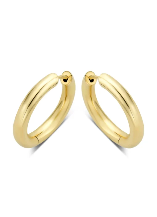 Geelgouden oorringen Timeless Treasures L