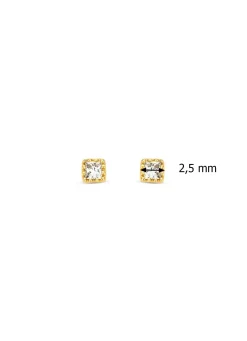 Geelgouden oorsieraden, 0.08 ct diamant, Joy