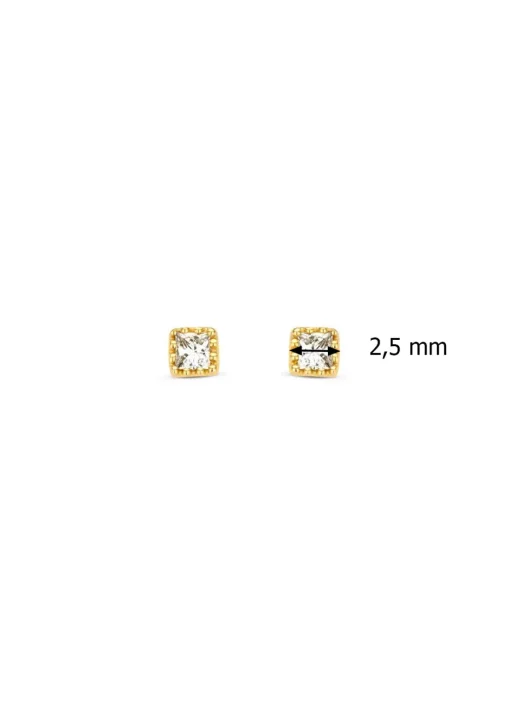 Geelgouden oorsieraden, 0.08 ct diamant, Joy