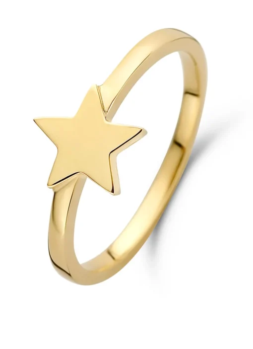 Geelgouden ring Dreamer
