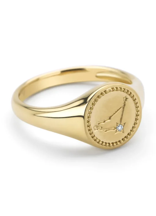 Geelgouden zegelring, Zodiac-Capricorn (Steenbok)